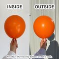 Sempertex Orange 12"/30 cm, 50 pcs thumb